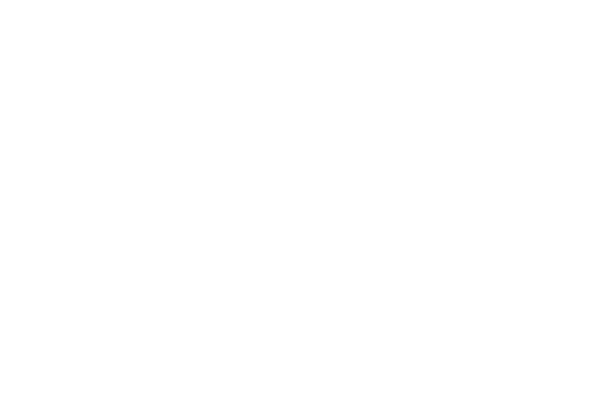 Big Brother Kemang Logo