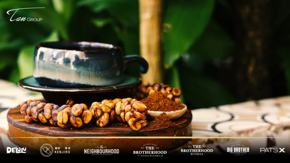 Kenapa Kopi Luwak Mahal Banget? Ini Sejarah Aslinya